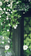 清风徐来，满院花开