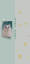 清新小猫咪吖