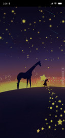 星空夜曲