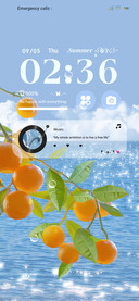 Orange Sea