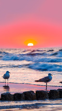 Evening by the seaside