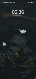 Pure Calm