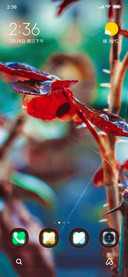 Rosey Thrones_DWM2