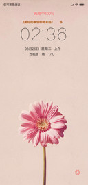 秋菊名花