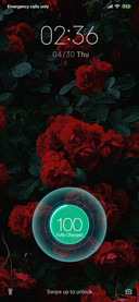 Rose_3MDS