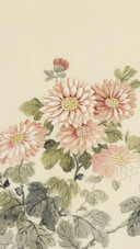 宋秦晋的花朵世界