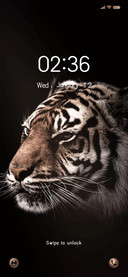 Bengal tiger