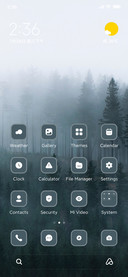 Fogg Forest