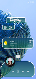 Feather5