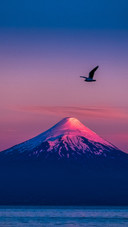 智利的“富士山”