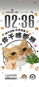 得意小猫搞怪多图
