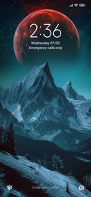 Snowy Moon