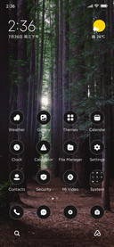 Tree Forest