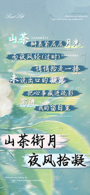 山茶衔月夜风拾凝