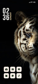 Dark Tiger
