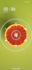 Minimal_Fruit