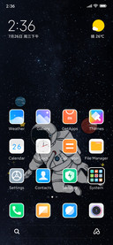 Star astronaut