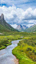The stream and grassland in the valley