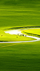 Green represents the flowing vitality