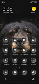 Bear