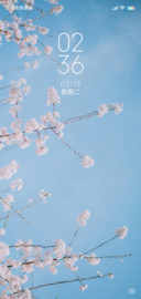 武大樱花