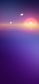 绝色