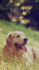 可爱萌宠