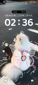 氛围感等待小狗