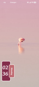 Pink Drift
