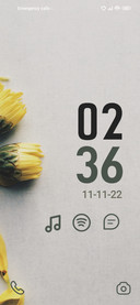 Yellow Flower