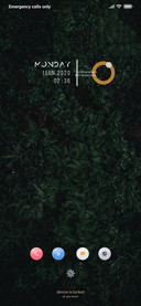 Naturalize 
