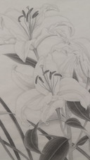 花开盛夏
