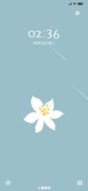 小花
