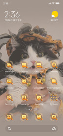 Cute Halloween cat