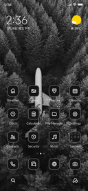 Forest Plane