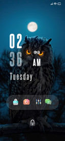 Night Owl