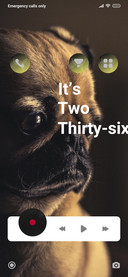 Dog_4