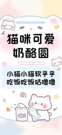 猫咪可爱奶酪圆