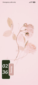 Petal Mist