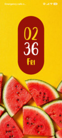 Juicy Watermelon