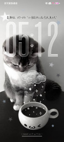 小猫祝泥今天鱼快