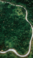 Forest Road