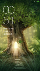 木纹