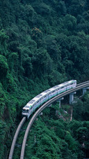 The Train of Chongqing Light Rail Line 2 Crosses the Forest