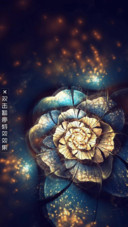 AE花之舞
