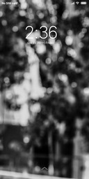 NaturalBlur_DWM2
