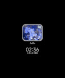 重力换色银蓝花信