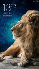 Lion