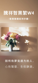 腾祥智黑繁W4