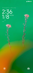 Flat Green